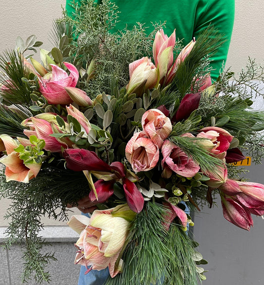 En kyss av Amaryllis!